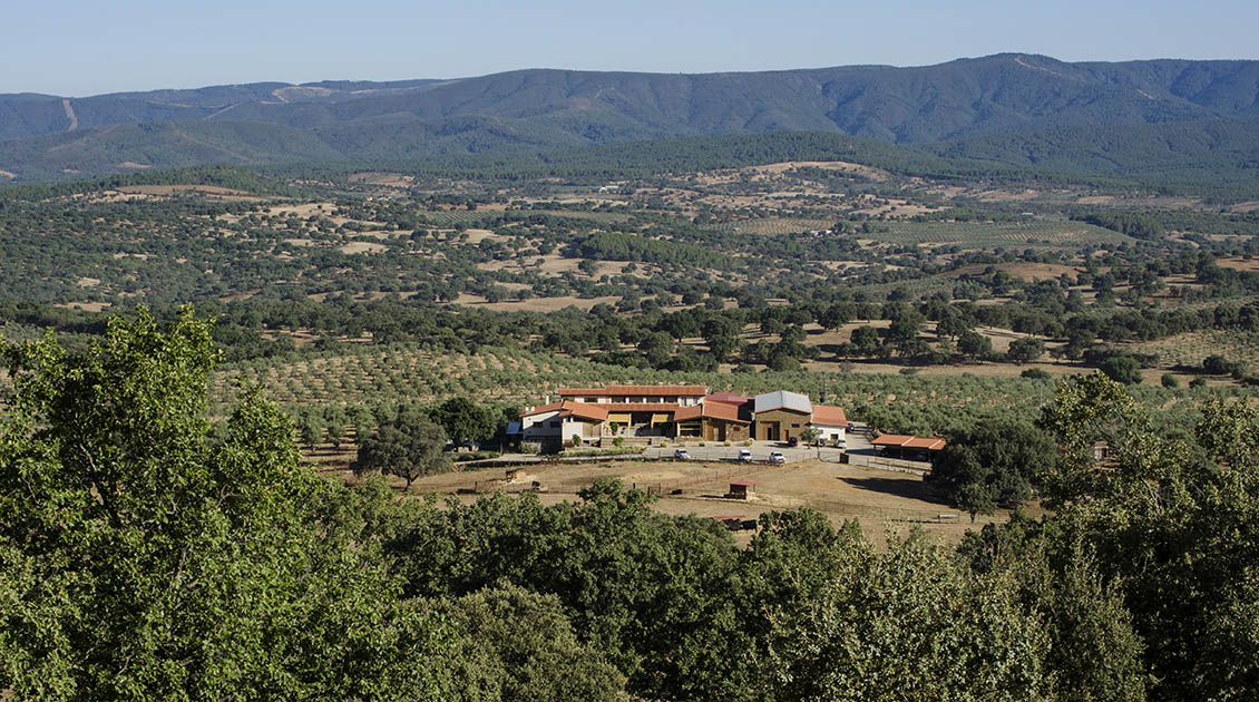 hotel rural con ganaderia propia y olivar ecologico en sierra de gata extremadura