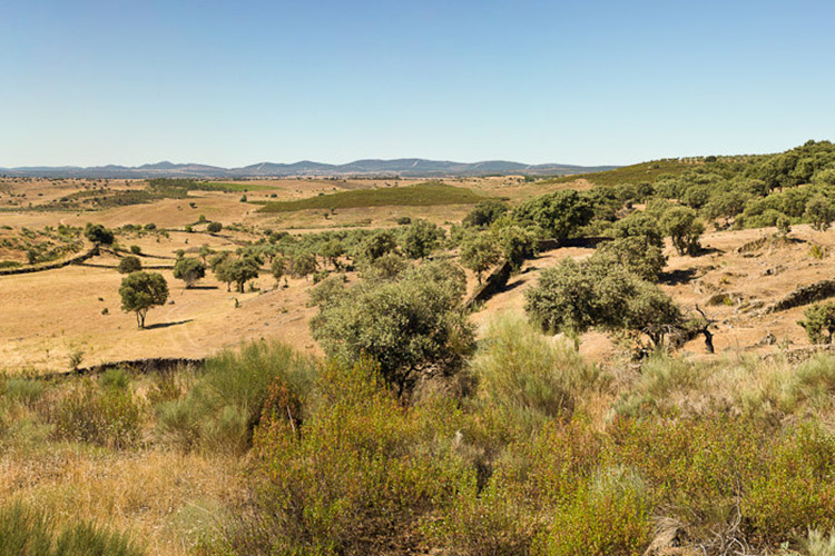 paisaje sierra de gata