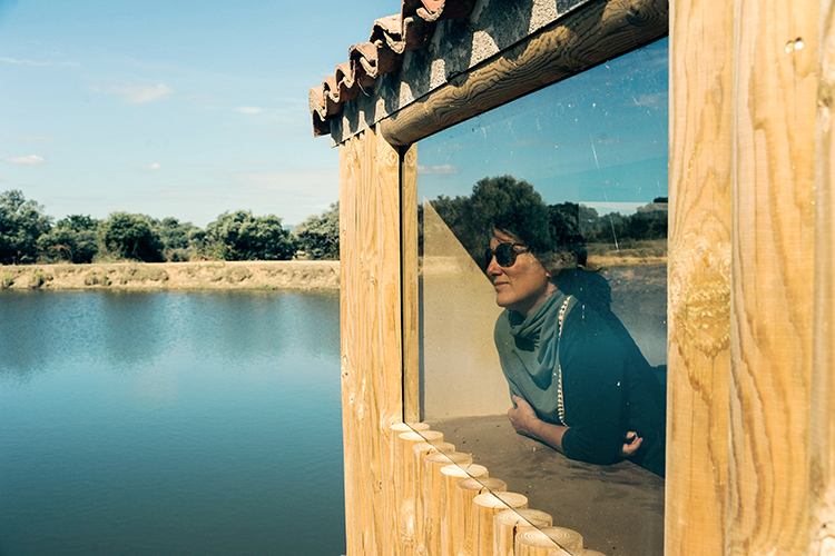 avistamiento pajaros caceres