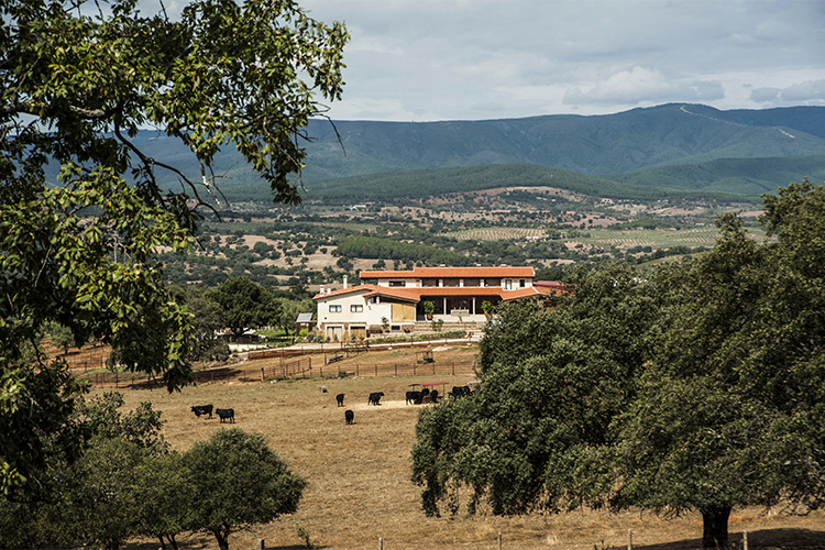 promocion descuento hotel