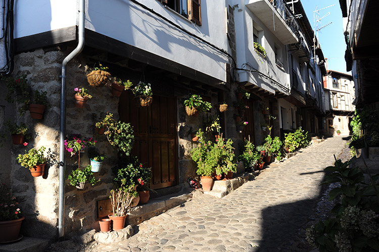 calle san martin de trevejo