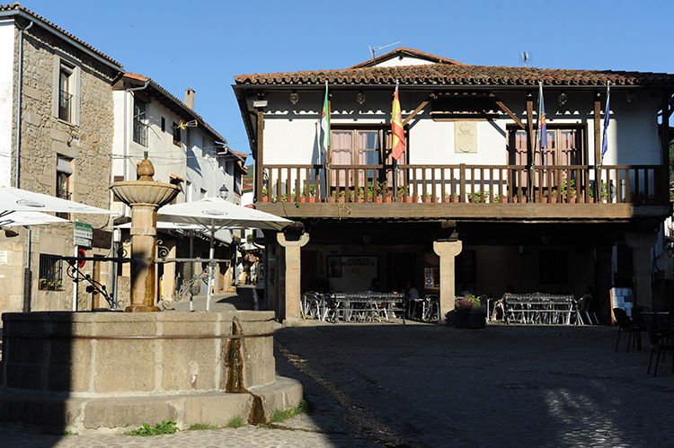 plaza mayor san martin trevejo