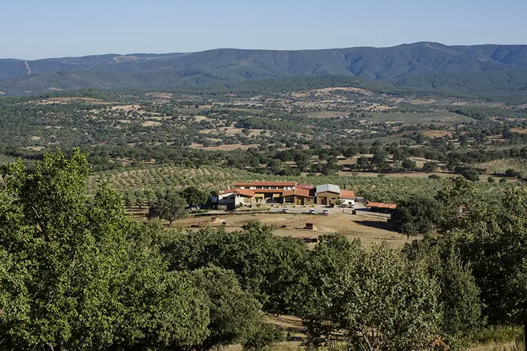 HCN hotel destino dehesa