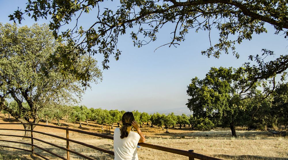 Descubre Sierra de Gata en primavera: planes y propuestas