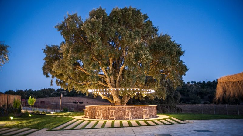 Piscina Habitat Cigüeña Negra