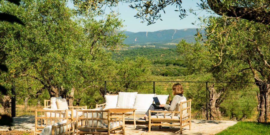 Dining room of the restaurant